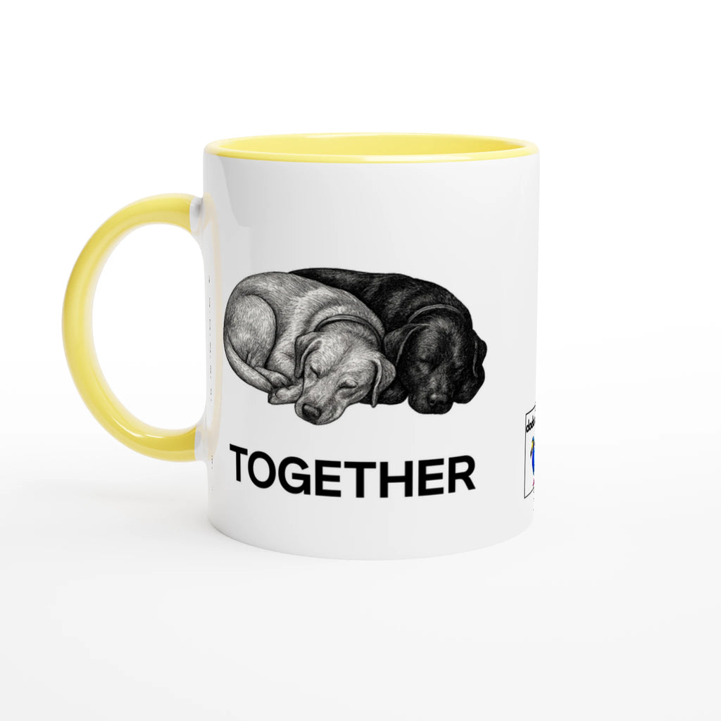 3ba03541-cc6d-4833-8c35-28254cac5f46